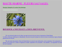 Tablet Screenshot of hautemarne-nature.com